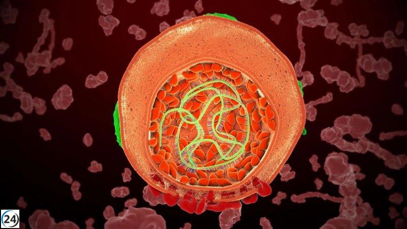 Salud destaca la necesidad de adoptar medidas seguras para prevenir las hepatitis víricas.