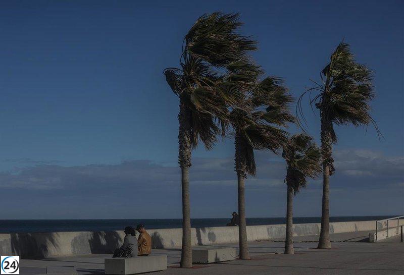 Alertan en el Altiplano sobre vientos de hasta 70 km/h para este jueves.