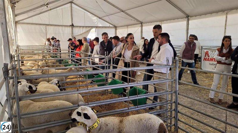 La ganadería segureña en la Región de Murcia: más de 16.500 corderos en 12 establecimientos.
