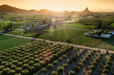 Descubre el encanto de la huerta murciana en el turismo rural