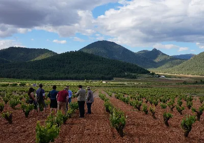 Un recorrido por la tradición vinícola murciana