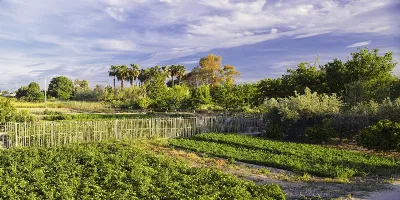La huerta de Murcia: un paraíso agrícola