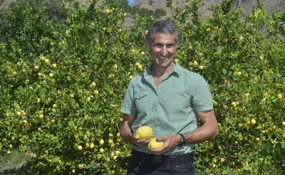 Productos orgánicos disponibles en Murcia