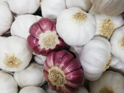 El ajo de Las Pedroñeras, ¿un producto exclusivo de Cuenca o también de Murcia?