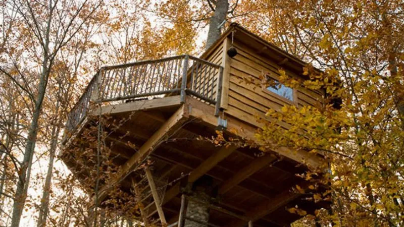 Una experiencia rural única: dormir en una casa árbol en Murcia