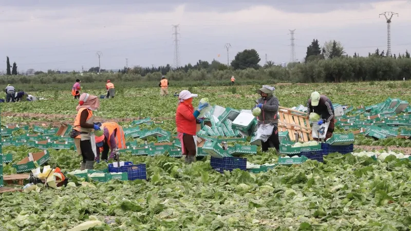 ¿Qué tan importante es la agricultura en Murcia?