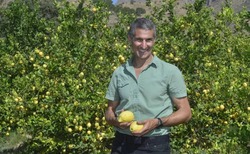 Productos orgánicos disponibles en Murcia